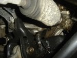 DSC08450a.jpg