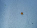 IMG_20160805_1026272.jpg