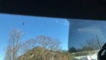 Geico Windshield Replacement >> Windshield Replacement | Drive Accord Honda Forums Geico Windshield Replacement >> Windshield Replacement | Drive Accord Honda Forums