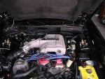 Mustang 010.jpg